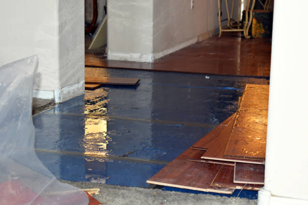 Professional Sewage Cleanup technician working in Waverly, MI